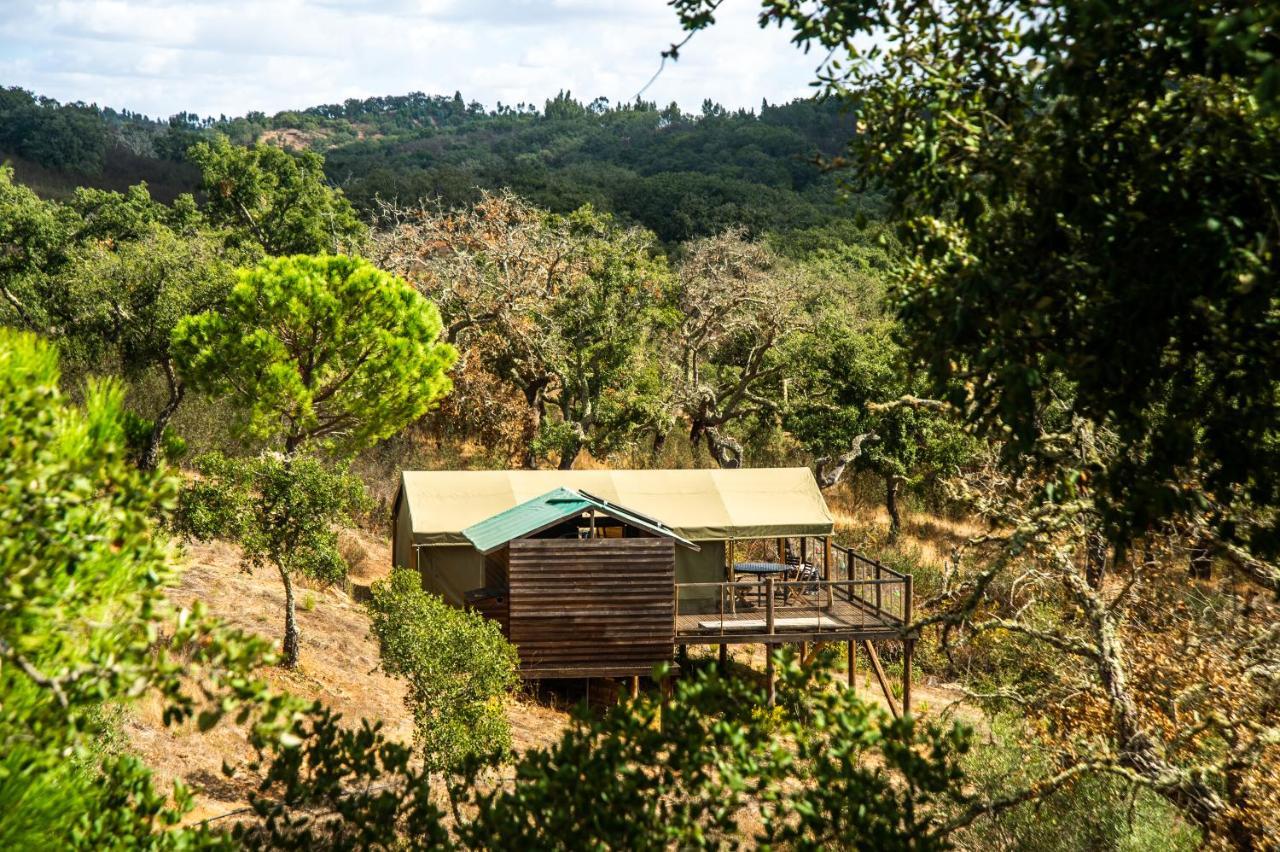 Гостевой дом Figueirinha Ecoturismo Monte da Estrada Экстерьер фото