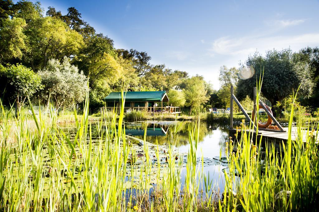 Гостевой дом Figueirinha Ecoturismo Monte da Estrada Экстерьер фото